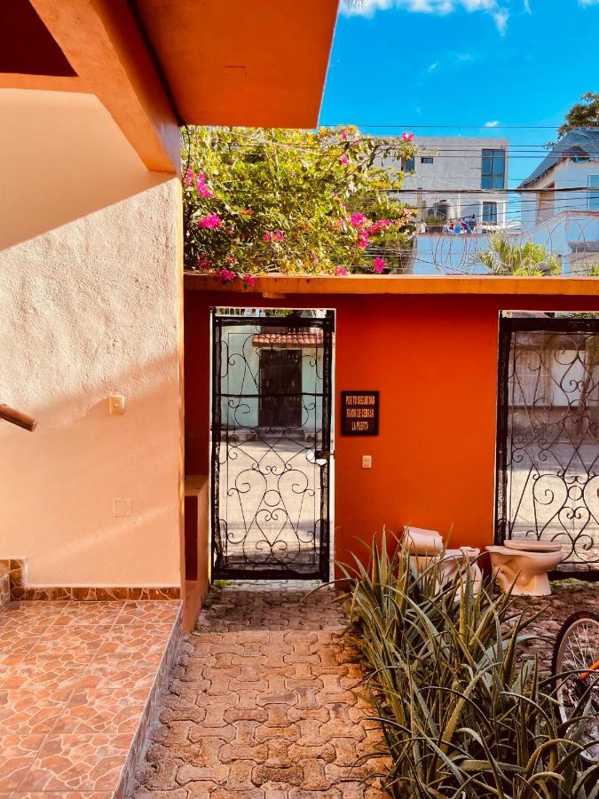 Hotel Anana Coliving Playa del Carmen Exterior foto